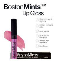 Load image into Gallery viewer, Back Bay Berry Lip Gloss by BostonMints™
