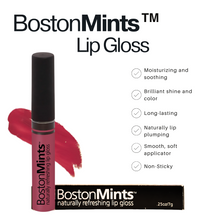 Load image into Gallery viewer, Dot Rose Lip Gloss by BostonMints™