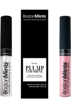 Load image into Gallery viewer, Swan Boat and Southie Pout Set