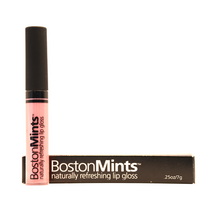 Load image into Gallery viewer, Swanboat Lip Gloss by BostonMints™
