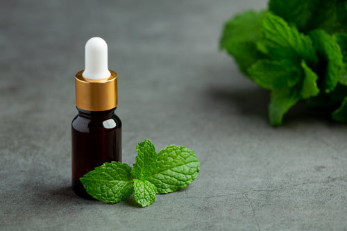 Mint-Infused Lip Products Deliver Refreshing Sensation