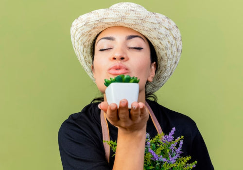 What Makes Botanical Lip Care Worth Exploring