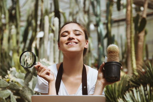 The Expanding Market for Vegan-Friendly Cosmetics in North America and Europe