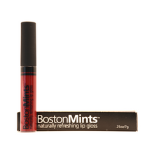 Load image into Gallery viewer, Go Sox! Lip Gloss by BostonMints™
